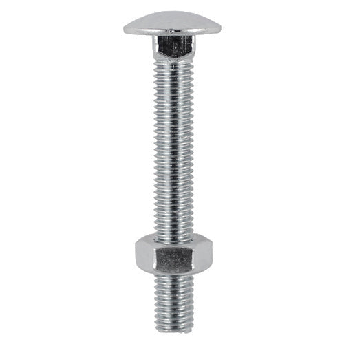 Carriage Bolts & Hex Nuts - Stainless Steel - M10 x 100 - TIMpac of 2