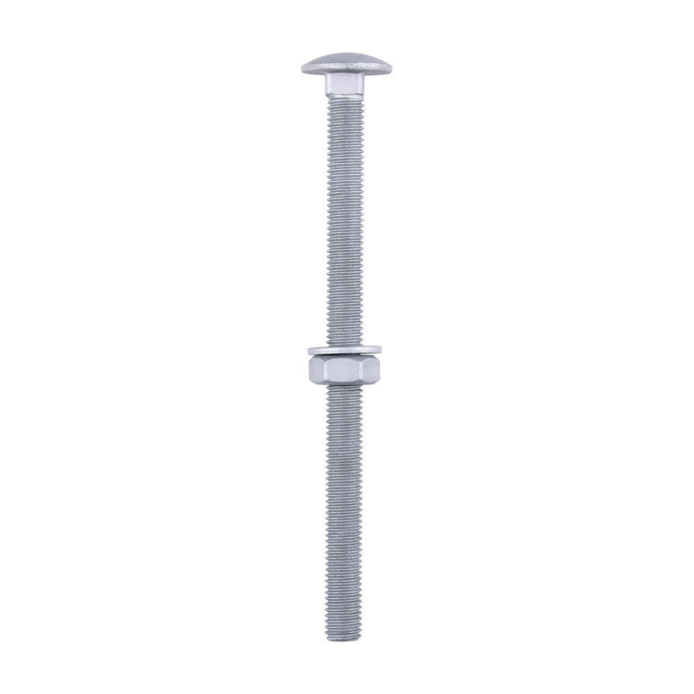 Carriage Bolts Hex Nuts & Form A Washers - Dome - Exterior - Silver - M10 x 150 - TIMbag of 10