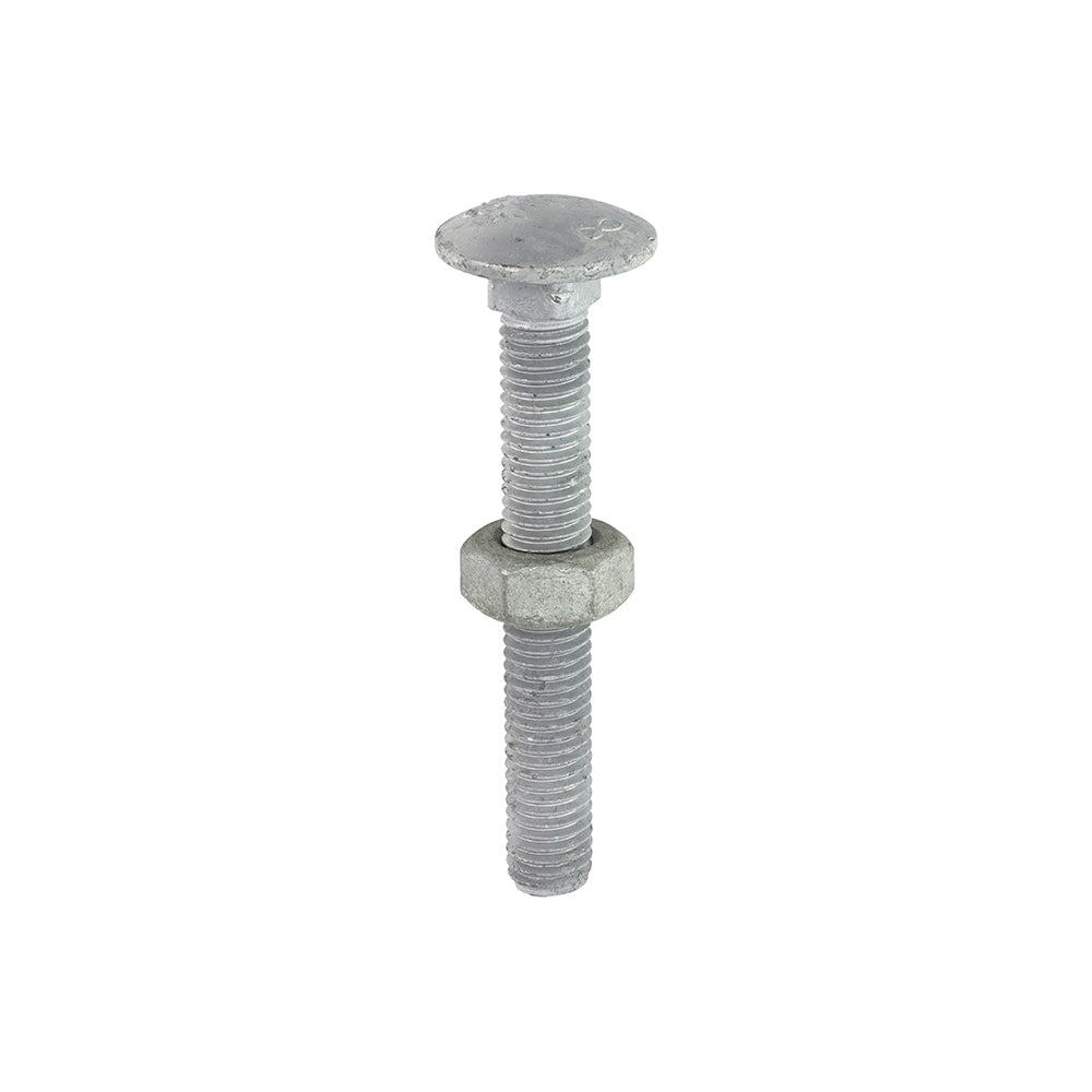 Carriage Bolts & Hex Nuts - Hot Dipped Galvanised - M10 x 75 - Box of 50