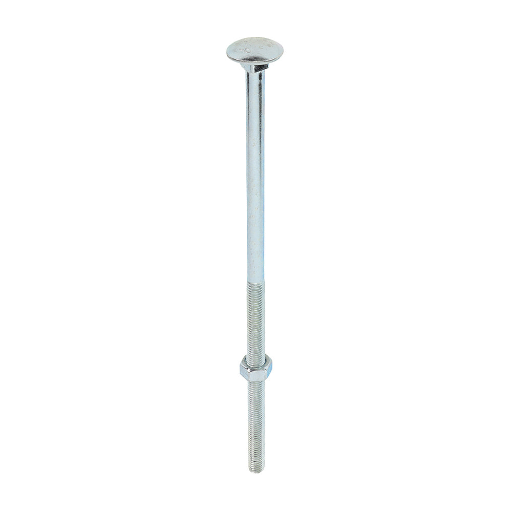 Carriage Bolts & Hex Nuts - Zinc - M12 x 300 - Box of 10