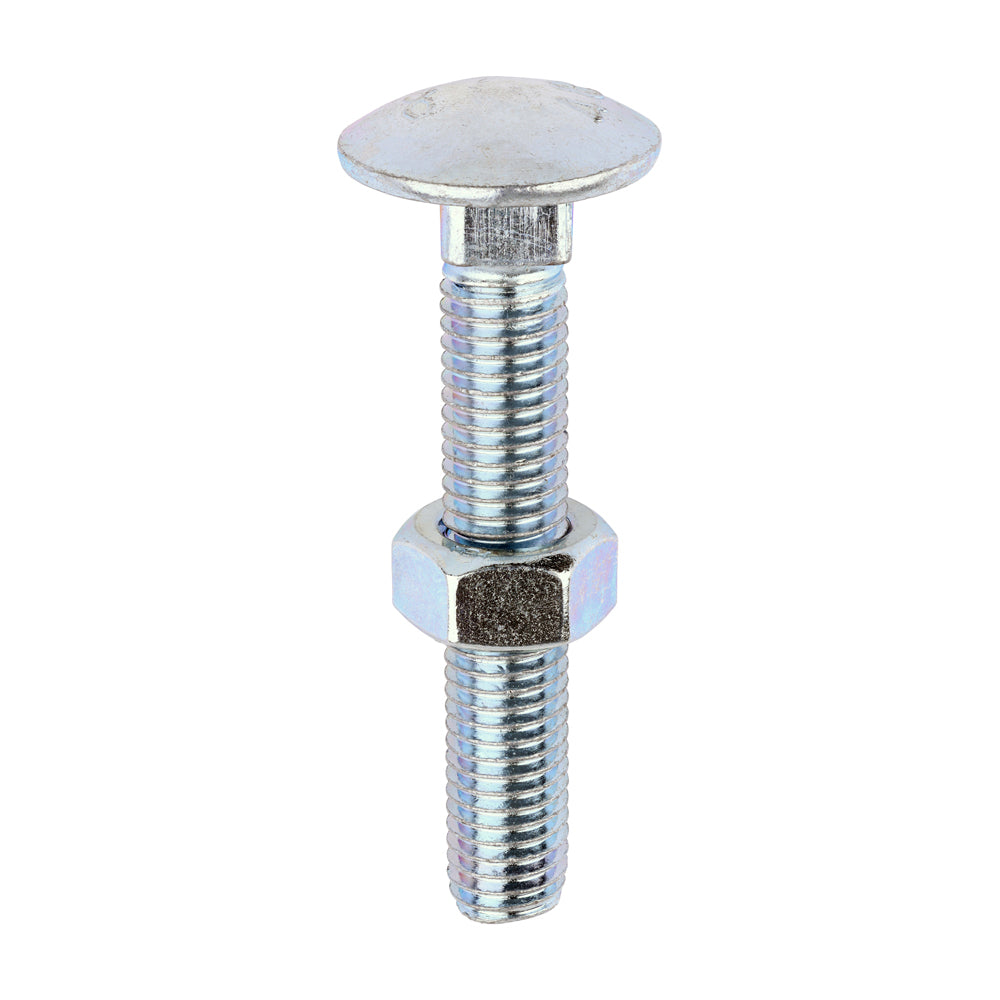 Carriage Bolts & Hex Nuts - Zinc - M12 x 75 - Box of 25