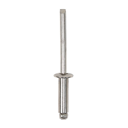 Rivets - Dome Head - Stainless Steel - 3.2 x 8 - TIMpac of 99