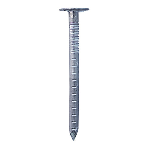 Clout Nails - Aluminium - 50 x 3.35 - TIMbag of 1kg