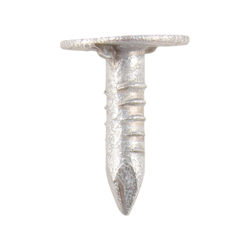 Extra Large Head Clout Nails - Galvanised - 13 x 3.00 - TIMbag of 2.5kg