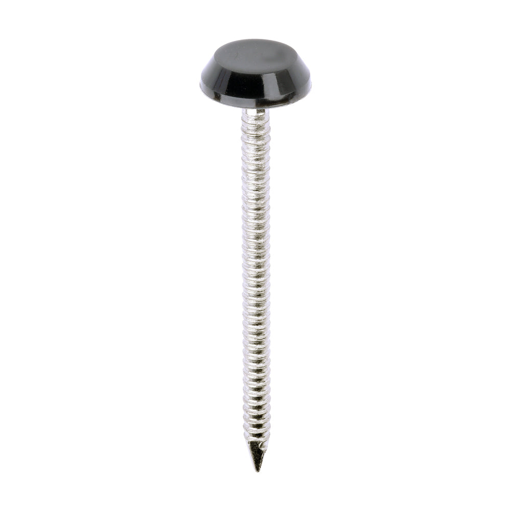 Polymer Headed Nails - A4 Stainless Steel - Anthracite Grey - 50mm - Box of 100