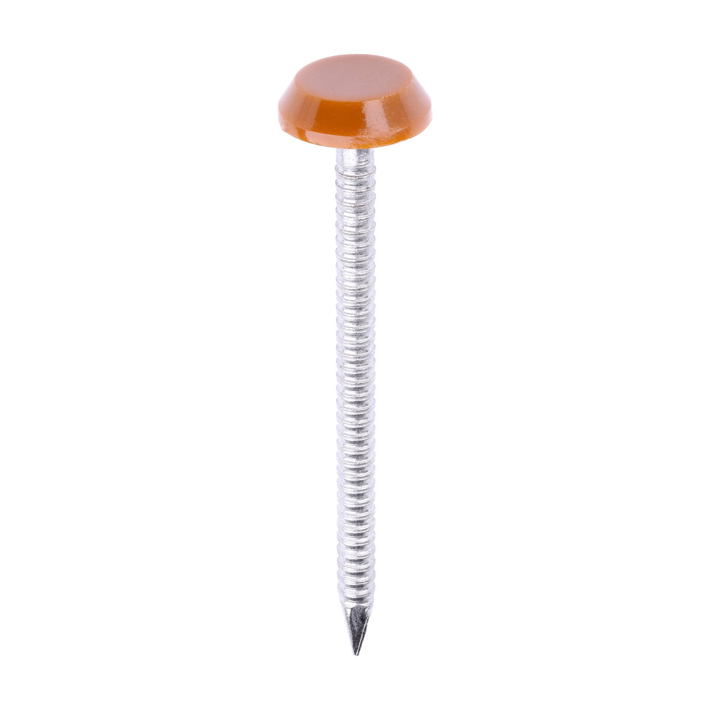 Polymer Headed Nails - A4 Stainless Steel - Clay Brown - 50mm - Box of 100