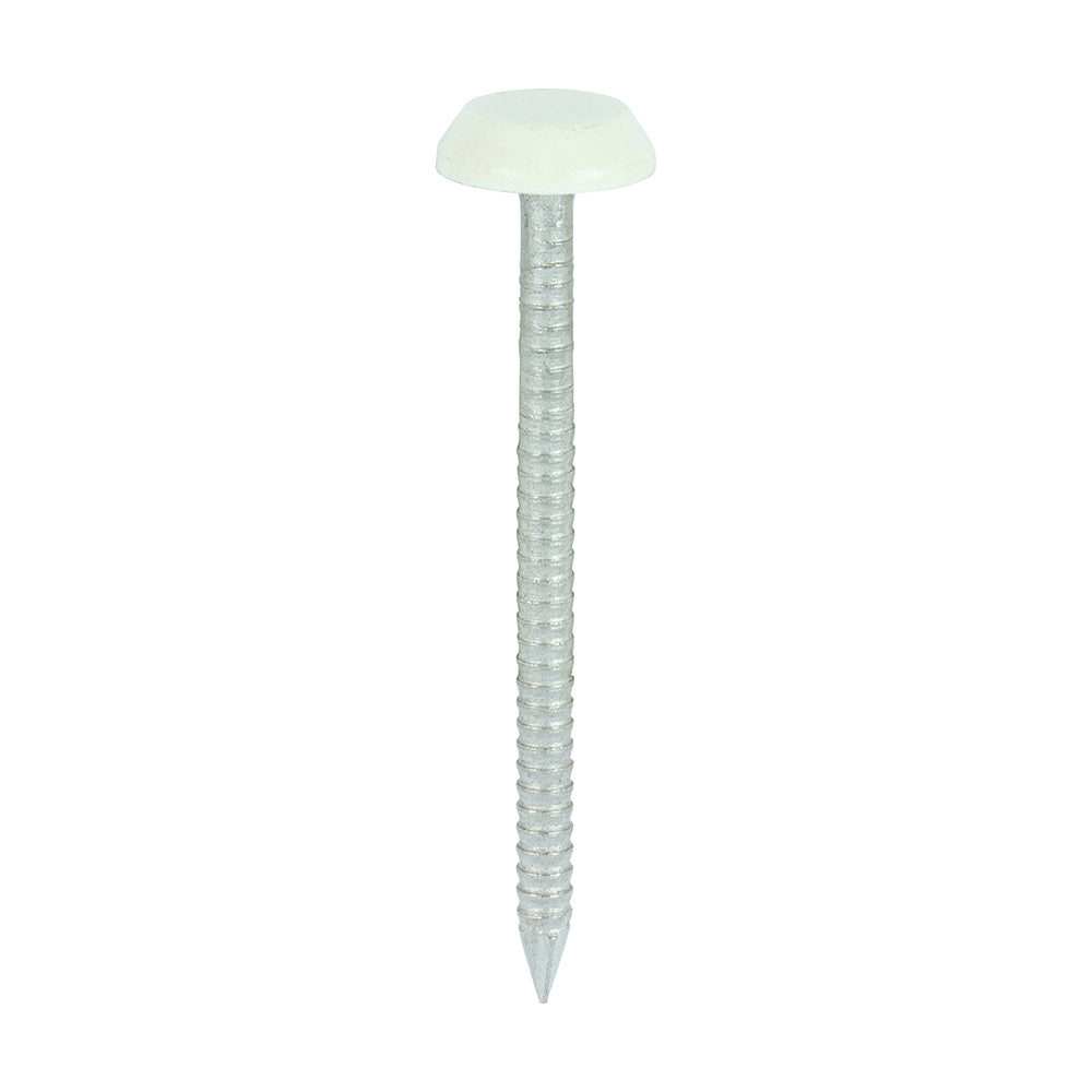 Polymer Headed Nails - A4 Stainless Steel - Chartwell Green - 50mm - Box of 100