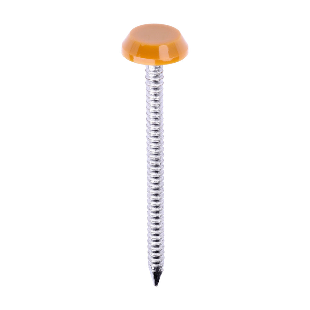 Polymer Headed Nails - A4 Stainless Steel - Oak - 50mm - Box of 100