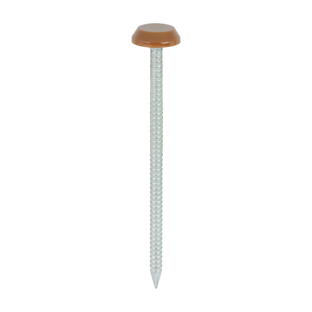 Polymer Headed Nails - A4 Stainless Steel - Clay Brown - 65mm - Box of 100