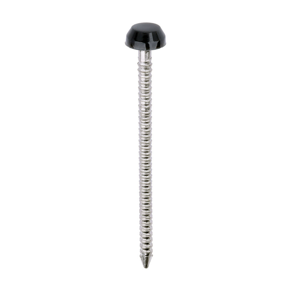Polymer Headed Pins - A4 Stainless Steel - Anthracite Grey - 40mm - Box of 250