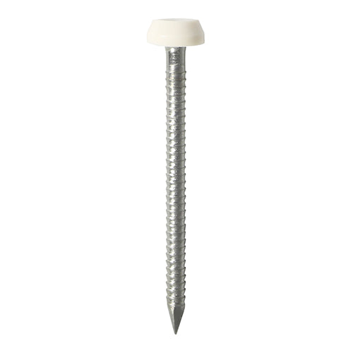 Polymer Headed Pins - Stainless Steel - White - 40mm - TIMpac of 50
